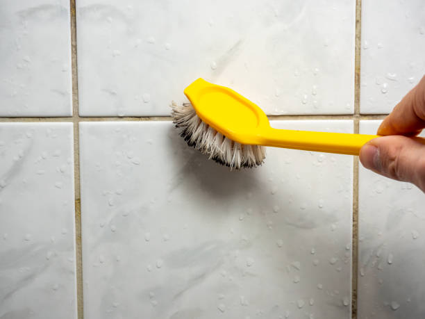Best Black Mold Remediation in Abingdon, IL
